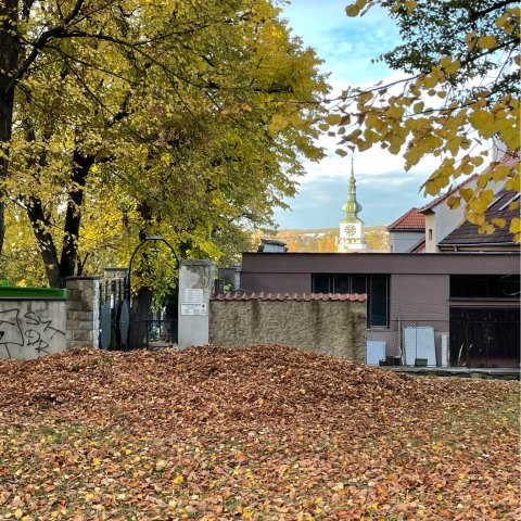 Pozovatel; Čím více pozoruješ přírodu, lidi, okolní svět, tím více jsi schopen rozpoznat ve všem určité vzorce a schémata. Pozovatel; Čím více pozoruješ přírodu, lidi, okolní svět, tím více jsi schopen rozpoznat ve všem určité vzorce a schémata.