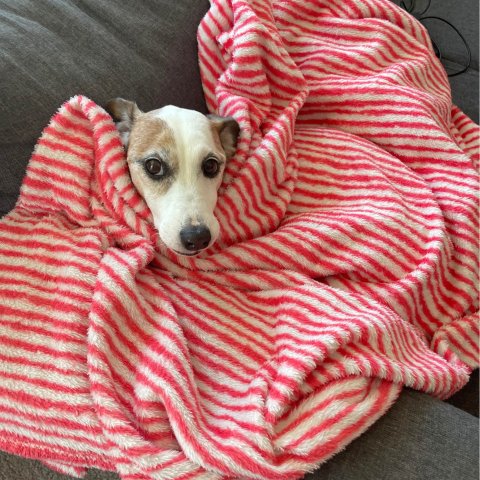 Moderní technologie; JAK SE NA NĚ DÍVÁŠ? SLOUŽÍ TI NEBO SLOUŽÍŠ TY JIM? Moderní technologie; JAK SE NA NĚ DÍVÁŠ? SLOUŽÍ TI NEBO SLOUŽÍŠ TY JIM?